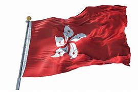 Image result for Hong Kong Flag Drawing