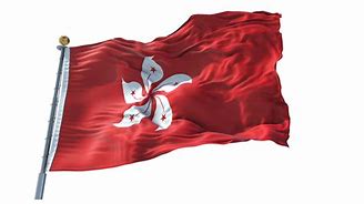 Image result for Hong Kong Flag Rectangular