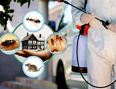 Image result for Pest Control Company