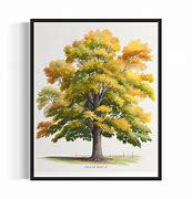 Image result for Sugar Maple Tree Art