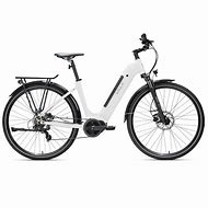 Image result for Tricia Eletric Bikes