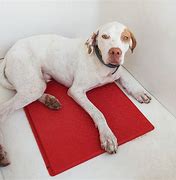 Image result for Heated Pet Mats