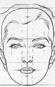 Image result for Human Head Proportions Drawing