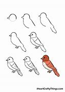 Image result for How to Drawing Bird