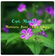 Image result for Cut Mutia Biography