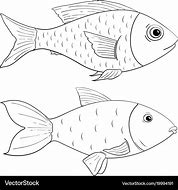 Image result for Fish Face Drawing