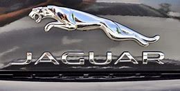 Image result for Jaguar Man