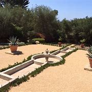 Image result for Agave Landscape Design