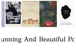 Image result for Good Poetry Books