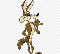 Image result for Looney Tunes Wile E Cyote