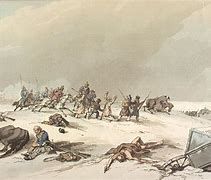 Image result for Napoleon Retreat Russia