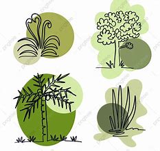 Image result for Plant Drawing