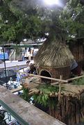 Image result for Ewok Village