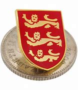 Image result for 3 Lions Badge