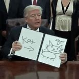 Image result for Cat of Trump GIF