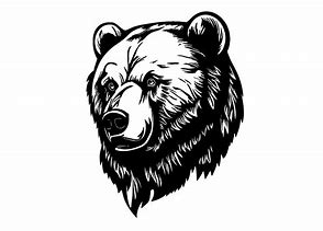 Image result for Black Bear Head