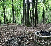 Image result for Rocky Fork State Park TN