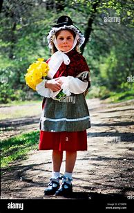 Image result for Traditional Welsh Lady