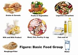 Image result for Food Groups Names