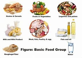 Image result for 7 Food Groups