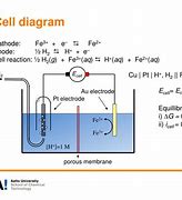 Image result for Electrochemical Cell Structure