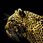 Image result for Black and Gold Background HD 1080P