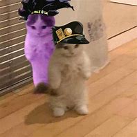 Image result for Jjba Cat Memes