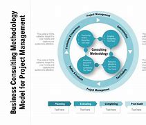 Image result for Management Consulting Diagrams