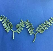 Image result for Crochet Seaweed