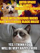 Image result for Outer Space Cat Meme