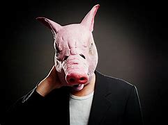 Image result for Pig Face Bush