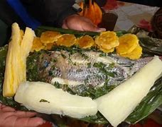 Image result for Pesca Do FDE Maito