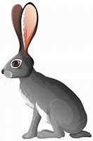 Image result for Clip Art Free Hare