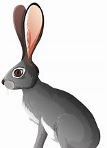 Image result for Calligraphy Hare