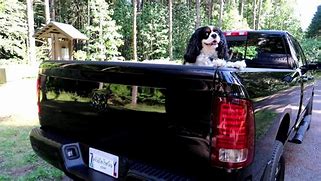 Image result for Ram 5th Wheel Hitch