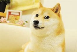 Image result for Doge Meme Wallpaper Good Quality