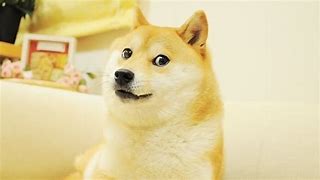 Image result for Doge Meme Desktop Wallpaper