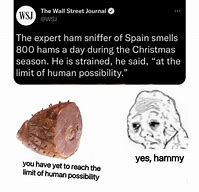 Image result for Hamus Meme