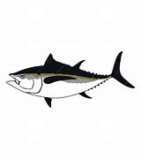 Image result for Tuna Vector