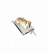 Image result for Heated Pet Mats