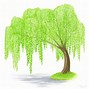 Image result for Willow Tree Drawing