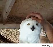 Image result for Aww Yiss Meme