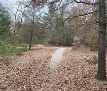 Image result for Reffitt Nature Preserve