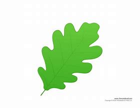 Image result for Free Printable Green Leaves