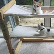 Image result for DIY Cat Furniture