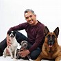 Image result for Cesar Millan Pit Bull