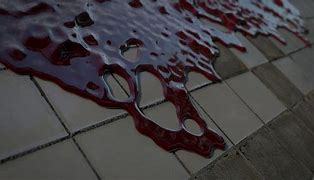 Image result for Anime Blood Floor