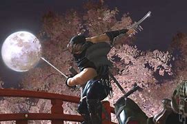 Image result for Ninja Gaiden 2 Xbox 360