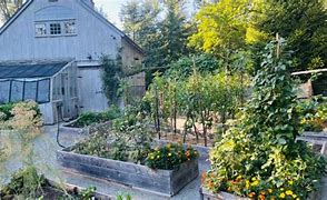 Image result for Pest Free Garden Beds