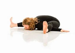 Image result for Tortoise Pose